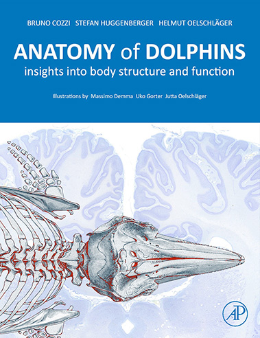 cover of 'Anatomy of Dolphins: Insights into Body Structure and Function'