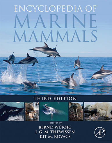 cover of 'Encyclopedia of Marine Mammals, 3rd Edition'