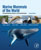 Marine Mammals of the World, Second Edition' - click to view enlargement
