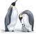 emperor penguin, Aptenodytes forsteri - click to view enlargement